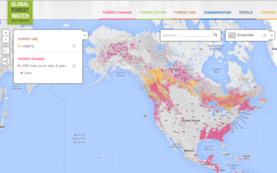 View an interactive deforestation map