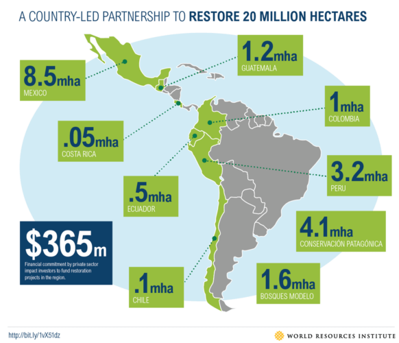deforestation-reforestation-pledge