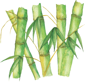 nimbus-bamboo-is-better-image-1