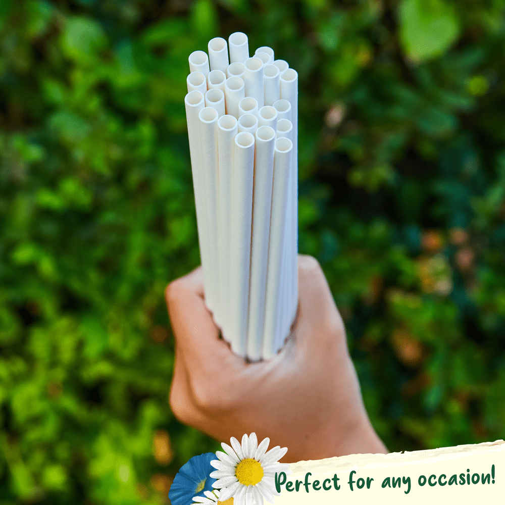 Paper Straw 5x140mm - Nimbus Imports