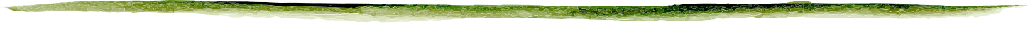 nimbus-border-rough-green-white-video-bottom