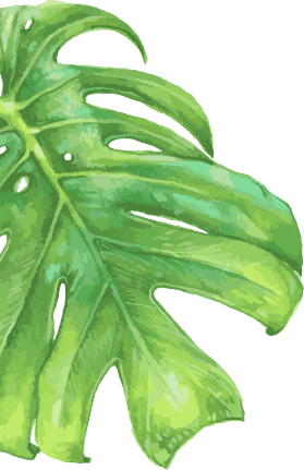 nimbus-hp-s2-leaf-left