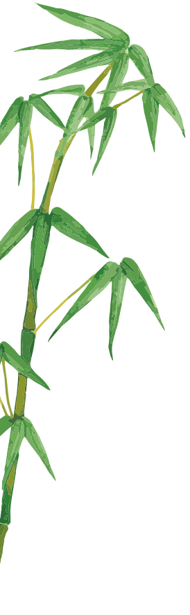 nimbus0hp-s3-bamboo-left