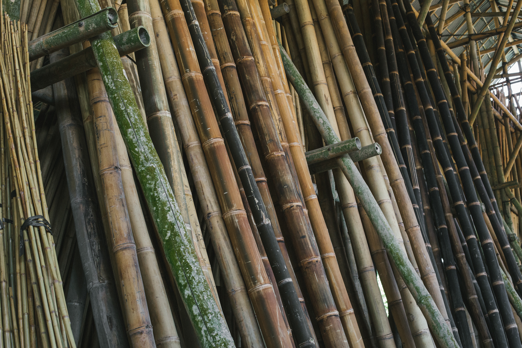 Bamboo lean Impact